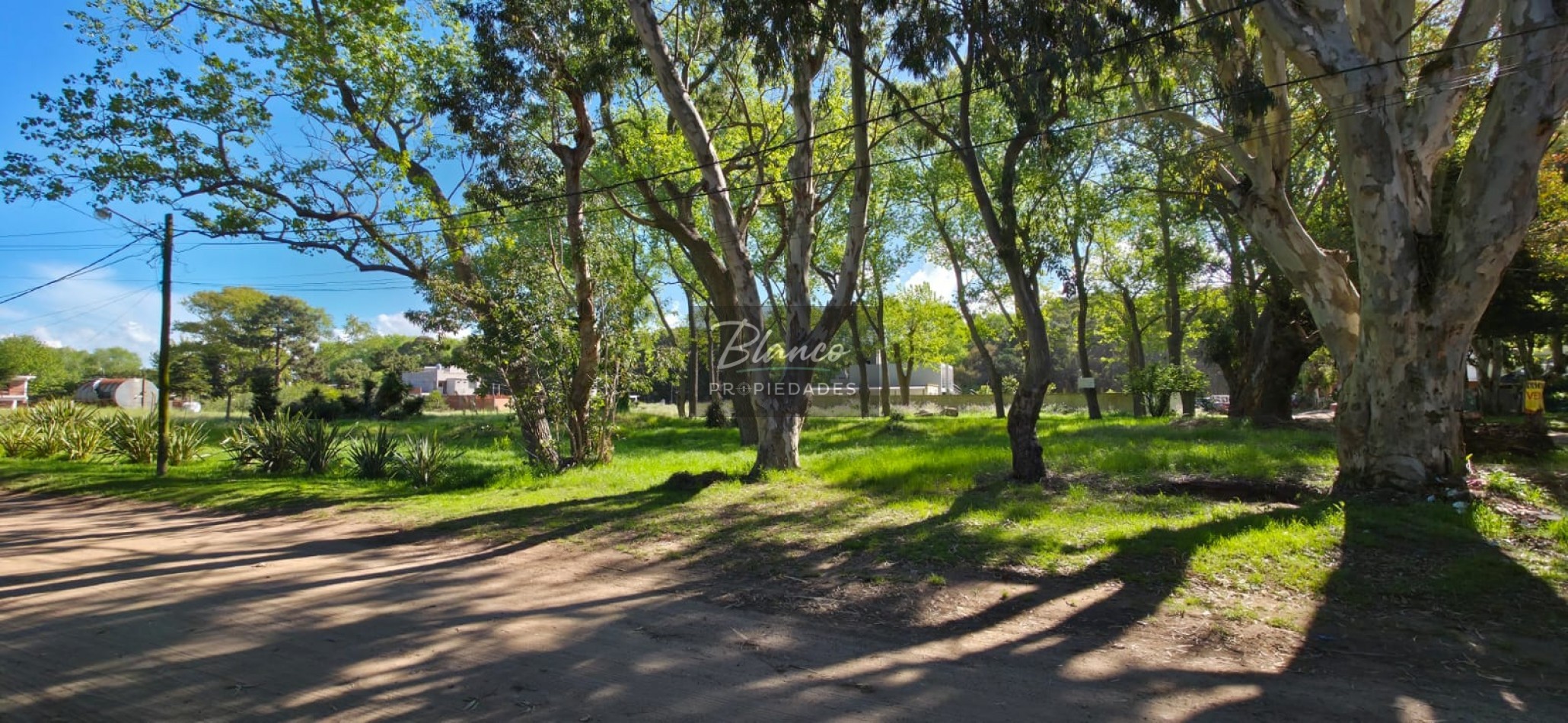 Lote