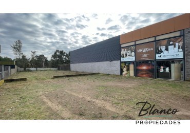 IMPORTANTE LOTE COMERCIAL SOBRE AV. LIBERTADOR